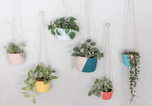Load image into Gallery viewer, Colour Block Hanging Planter
